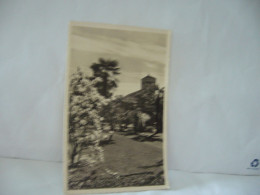 LOCARNO SUISSE TI TESSIN CPSM FORMAT CPA 1954 - Locarno