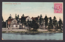 Postcard, CANADA, Sydney, Lovers Lane - Sonstige & Ohne Zuordnung