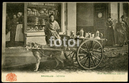 BELGIQUE - BRUXELLES CHIEN DOG - LAITIERES - BOULANGERIE PANIFICATION INTEGRALE BELGIUM POSTCARD - Old Professions