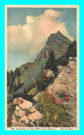 A746 / 373 Suisse Les Rochers De Naye Sur Montreux - Montreux
