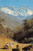 Nepal - Nu-Tse, Mt. Everest And Lho-Tse - Nepal