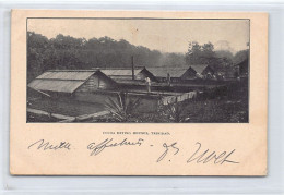 TRINIDAD - Cocoa Drying Houses - Publ. Unknown - Trinidad
