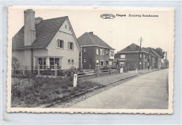 ZINGEM (O. Vl.) Steenweg Kruishoutem - Uitg. Huis Van Ceulebroeck - Zingem