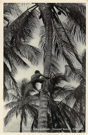 Colombia - BARANQUILLA - Cocal - Ed. Heumann 39 - Kolumbien