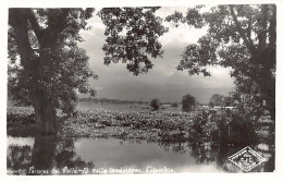 Colombia - Paisajes Del Valle - Ed. C.J.C. 147 - Kolumbien
