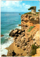 Delcampe - LOT 2 CPSM DE TARRAGONA  (ESPAGNE)  MIAMI-PLAYA, DETALLE DE LA COSTA. CATEDRAL, JARDIN DEL CLAUSTRA - Tarragona