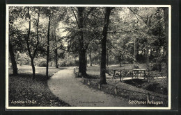 AK Apolda /Thür., Hermann-Löns-Park Mit Schötener Anlagen - Apolda
