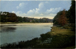 Im Sachsenwald Bei Reinbek - Reinbek