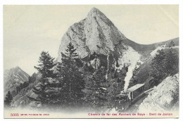 Suisse - Vaud / Chemin De Fer Des Rochers De Naye - Dent De Jaman. - Montreux