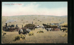 AK Treshing Weat In Oregon, Erntemaschinen Auf Dem Feld - Trucks, Vans &  Lorries