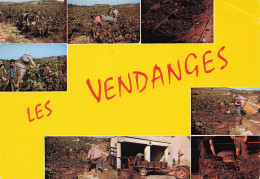 33 MARGAUX LES VENDANGES - Margaux