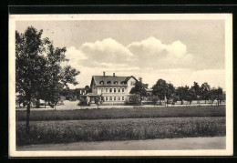 AK Colditz /Sa., Hotel Und Sommerfrische Waldschänke - Colditz
