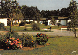 29-TREGUNC-N°3319-B/0255 - Trégunc