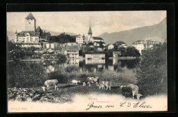 AK Spiez, Thunersee Mit Kühen - Spiez