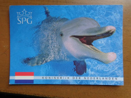 Dolfijn, Dolphin -> Written - Dolphins