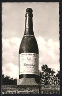 AK Freyburg, Riesensektflasche, 100 Jahre Rothkäppchen Sekt - Freyburg A. D. Unstrut