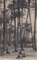 SCENES ET TYPES D'ÉGYPTE. Sous Les Palmiers. - Other & Unclassified