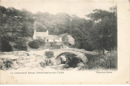 ROYAUME UNI #MK34118 IN JESMOND DENE NEWCASTLE ON TYNE - Newcastle-upon-Tyne