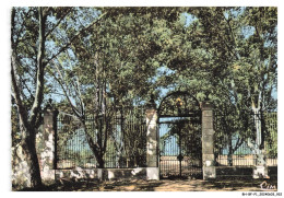 BH-BFP1-0462-83 - Paysages De Provence - VIDAUBAN - Un Coin Verdoyant - Vidauban