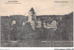 AJZP9-0869-LUXEMBOURG - COLMAR-BERG - Grand-duché De Luxembourg - Chateau Grand-ducal - Colmar – Berg