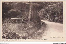 AKSP11-1108-88 - GRANGES-sur-VOLOGNE - Vosges - Un Coin De La Promenade Aux Huttes - Granges Sur Vologne