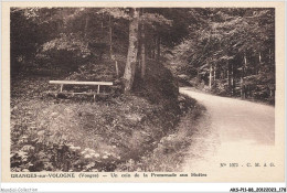 AKSP11-1109-88 - GRANGES-sur-VOLOGNE - Vosges - Un Coin De La Promenade Aux Huttes - Granges Sur Vologne