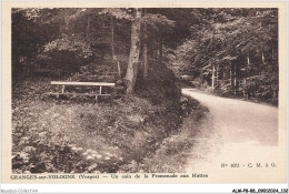 ALMP8-0767-88 - GRANGES-SUR-VOLOGNE - Vosges - Un Coin De La Promenade Aux Huttes - Granges Sur Vologne