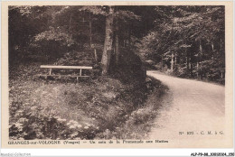 ALPP9-1070-88 - GRANGES-SUR-VOLOGNE - Un Coin De La Promenade Aus Huttes - Granges Sur Vologne