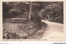 ALMP8-0768-88 - GRANGES-SUR-VOLOGNE - Vosges - Un Coin De La Promenade Aux Huttes - Granges Sur Vologne