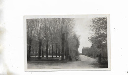 Avenue De La Gare - Coulonges-sur-l'Autize