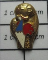 816b Pin's Pins / Beau Et Rare / ARTHUS BERTRAND / BOXE FFB FEDERATION FRANCAISE COQ TRICOLORE - Arthus Bertrand