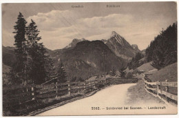 Schönried Bei Saanen. Landschaft - Gstaad