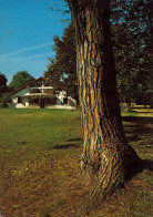 40 - Sabres - Maison De Maître Marqueze - Ecomusée De La Grande Lande - Sabres