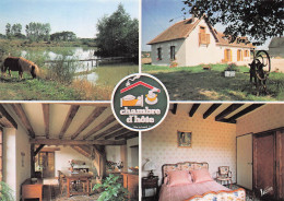 41 CONTRES CHAMBRE D HOTE LA MENERIE - Contres