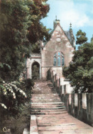 17 MIRAMBEAU LA CHAPELLE DU CHÂTEAU DES COMTES - Mirambeau