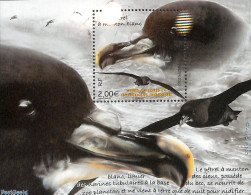 French Antarctic Territory 2022 Pétrel A Menton Blanc S/s, Mint NH, Nature - Birds - Ongebruikt