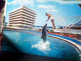CATTOLICA  DELFINO DOLPHIN      V1965 KG5055 - Dolphins