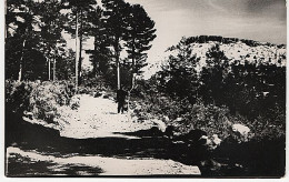 X126054 RARO CASTILLA Y LEON SORIA PINARES DURUELO DE LA SIERRA PICO DEL NACIMIENTO - Soria