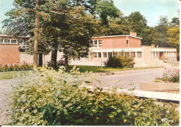 WORMHOUDT (59) Le C.E.G.  CPSM  GF - Wormhout