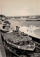 33-GUJAN MESTRAS-N°T205-A/0079 - Gujan-Mestras