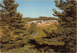 48-AUMONT AUBRAC-N°T207-A/0231 - Aumont Aubrac