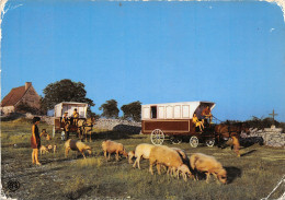 46-ASSIER-N°T206-D/0319 - Assier