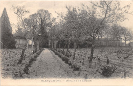 33-BLANQUEFORT-N°T211-F/0015 - Blanquefort