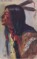 INDIEN(ETATS UNIS) CARTE GAUFREE - Native Americans
