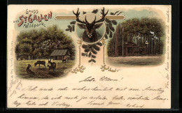 Lithographie St. Gallen, Verschiedene Ansichten Des Wildparks - Wil
