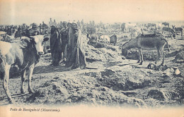 MAURITANIE - Puits De Bassiguindé - Ed. Lévy & Neurdein - Mauritania
