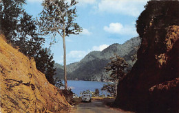 Trinidad - Maracas Bay - Publ. Art Photo Studio - Trinidad