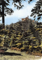 57 La Hoube Et Le Rocher De DABO N° 88 \MK3004 - Dabo