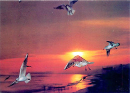 Coucher De Soleil - CPM - Voir Scans Recto-Verso - Hold To Light