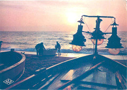 Coucher De Soleil - CPM - Voir Scans Recto-Verso - Hold To Light